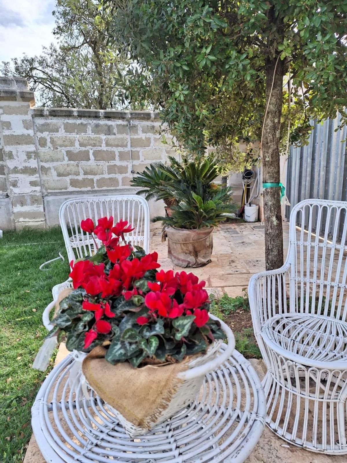 B&B Le Torri 圣埃拉莫因科莱 外观 照片